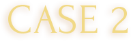 case2